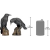 image:imageDesign Toscano Mystic Night Raven StatuesMystic Night