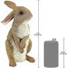 image:imageDesign Toscano QM200681 Hopper the Bunny Standing Rabbit IndoorOutdoorHopper