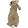 image:imageDesign Toscano QM200681 Hopper the Bunny Standing Rabbit IndoorOutdoorHopper