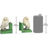 image:imageDesign Toscano SP1601 Bookworm Bunny Rabbits Cast Iron Sculptural Bookend Pair full colorWise Snowy Owl