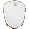 image:imageDesign Toscano The Nightmare Wall SculptureAncient Ivory