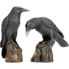 image:imageDesign Toscano Mystic Night Raven StatuesMystic Night