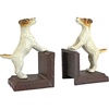 Jack Russell Terrier