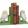image:imageDesign Toscano SP1601 Bookworm Bunny Rabbits Cast Iron Sculptural Bookend Pair full colorWise Snowy Owl
