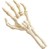 image:imageDesign Toscano Skeleton Hand of Destiny Sculptural Bottle Opener Single Faux Bone Finish Twin