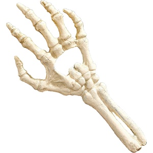 image:imageDesign Toscano Skeleton Hand of Destiny Sculptural Bottle Opener Single Faux Bone Finish Twin