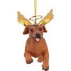 image:imageChristmas Tree Ornaments  Honor The Pooch Beagle Holiday Angel Dog OrnamentsAngel Dachshund
