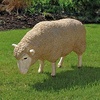 image:imageDesign Toscano Merino Ewe Life Size Head Down Sheep StatueHead Down