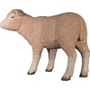 image:imageDesign Toscano Merino Ewe LifeSize Lamb Statue RestingStanding