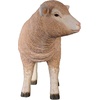 image:imageDesign Toscano Merino Ewe LifeSize Lamb Statue RestingStanding