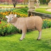 image:imageDesign Toscano Merino Ewe LifeSize Lamb Statue RestingStanding