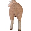 image:imageDesign Toscano Merino Ewe LifeSize Lamb Statue RestingStanding
