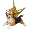 Angel Beagle