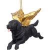 Angel Black Lab Dog