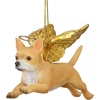 Angel Chihuahua