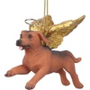 Angel Dachshund