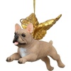 Angel French Bulldog