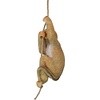 image:imageDesign Toscano Chico the Chimpanzee Baby Monkey Hanging IndoorOutdoor Animal Statue 16 Inch Long Cast Stone Resin Brown Painted Finish