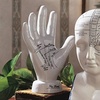 image:imageDesign Toscano SP020 Full Size Phrenology Head Bust Fortune Telling Statue 12 Inch Porcelain WhitePalmistry Porcelain