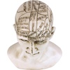 image:imageDesign Toscano SP020 Full Size Phrenology Head Bust Fortune Telling Statue 12 Inch Porcelain WhitePolyresin Head
