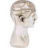 image:imageDesign Toscano SP020 Full Size Phrenology Head Bust Fortune Telling Statue 12 Inch Porcelain WhitePolyresin Head
