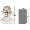 image:imageDesign Toscano SP020 Full Size Phrenology Head Bust Fortune Telling Statue 12 Inch Porcelain WhitePolyresin Head
