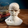 image:imageDesign Toscano SP020 Full Size Phrenology Head Bust Fortune Telling Statue 12 Inch Porcelain WhitePolyresin Head