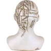 image:imageDesign Toscano SP020 Full Size Phrenology Head Bust Fortune Telling Statue 12 Inch Porcelain WhitePolyresin Head
