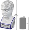 image:imageDesign Toscano SP020 Full Size Phrenology Head Bust Fortune Telling Statue 12 Inch Porcelain WhitePorcelain Phrenology