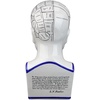 image:imageDesign Toscano SP020 Full Size Phrenology Head Bust Fortune Telling Statue 12 Inch Porcelain WhitePorcelain Phrenology