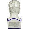 image:imageDesign Toscano SP020 Full Size Phrenology Head Bust Fortune Telling Statue 12 Inch Porcelain WhitePorcelain Phrenology