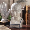 image:imageDesign Toscano SP020 Full Size Phrenology Head Bust Fortune Telling Statue 12 Inch Porcelain WhitePorcelain Phrenology