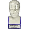 image:imageDesign Toscano SP020 Full Size Phrenology Head Bust Fortune Telling Statue 12 Inch Porcelain WhitePorcelain Phrenology