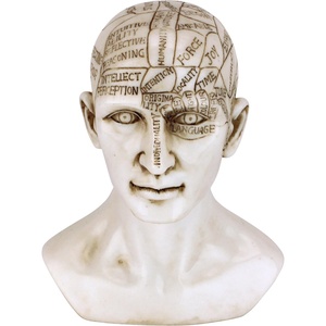 image:imageDesign Toscano SP020 Full Size Phrenology Head Bust Fortune Telling Statue 12 Inch Porcelain WhitePolyresin Head
