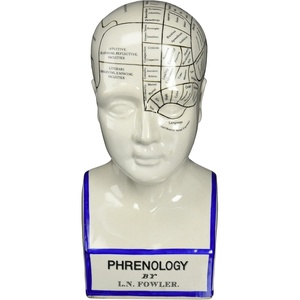 image:imageDesign Toscano SP020 Full Size Phrenology Head Bust Fortune Telling Statue 12 Inch Porcelain WhitePorcelain Phrenology