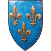 image:imageDesign Toscano Grand Arms of France Wall Shield Collection William of Normandy ShieldFleur de Lis