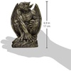 image:imageDesign Toscano JE11211701 Silas The Sentry Gargoyle IndoorOutdoor Gothic Decor Statue 16 Inches Wide 24 Inches Tall Handcast Polyresin Grey Stone Finish7 Inches