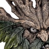 image:imageDesign Toscano Crotchety Crank Tree Ent Wall Sculpture