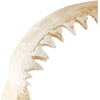 image:imageDesign Toscano EU33738 Ernie the Elephant Shelf Sitter SculptureSingleCoastal