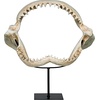 image:imageDesign Toscano EU33738 Ernie the Elephant Shelf Sitter SculptureSingleCoastal