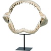image:imageDesign Toscano EU33738 Ernie the Elephant Shelf Sitter SculptureSingleCoastal