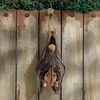 image:imageDesign Toscano QM28985 Vampire Bat  Hanging Mega Bat Sculpture