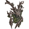 image:imageDesign Toscano Crotchety Crank Tree Ent Wall Sculpture