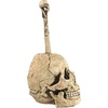 image:imageDesign Toscano Bathroom Skullduggery Toilet Bowl Brush