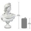 image:imageDesign Toscano Nubian Kandake Sculptural Bust SingleApollo Belvedere