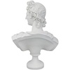 image:imageDesign Toscano Nubian Kandake Sculptural Bust SingleApollo Belvedere