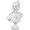 image:imageDesign Toscano Nubian Kandake Sculptural Bust SingleApollo Belvedere