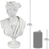 image:imageDesign Toscano Nubian Kandake Sculptural Bust SingleDiana of Versailles