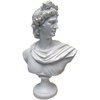 Apollo Belvedere