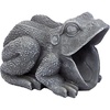 image:imageDesign Toscano QM7512081 Garden Frog Decorative Object Grey Stone